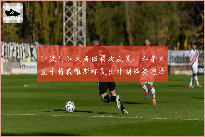 沙波瓦洛夫肩伤再次反复,加拿大左手将戴维斯杯复出计划恐要泡汤?